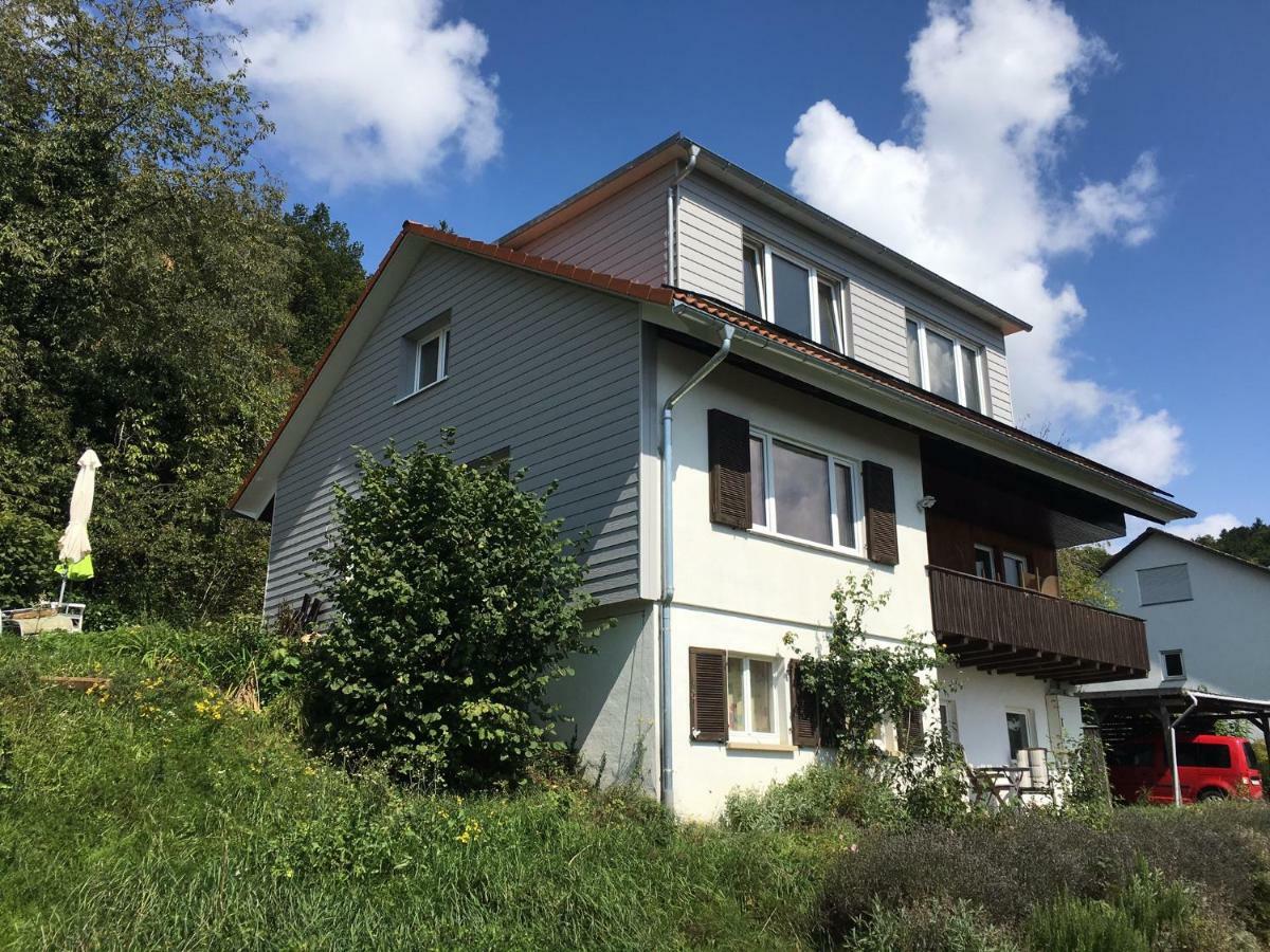 Villa Alpenpanorama Am Hochrhein Gailingen Exterior foto